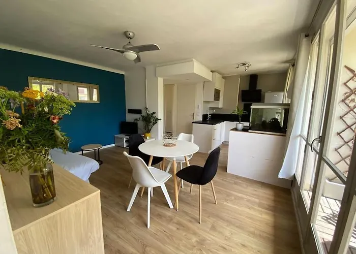 Appart T2 Cosy Renove En Centre Ville Avec Parking
